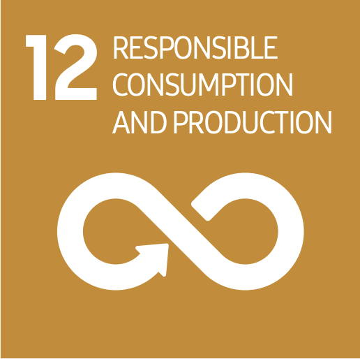 ODS 12 - Producción y Consumo Responsables